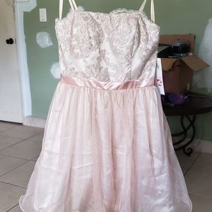 Adriana Papell dress